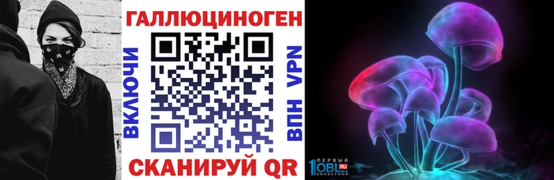 закладка  Обь  Галлюциногенные грибы GOLDEN TEACHER 