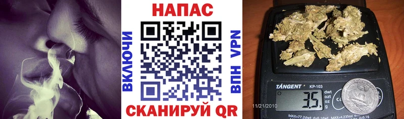 МАРИХУАНА гибрид  Обь 